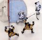 sharks_penguins_hockey.jpeg