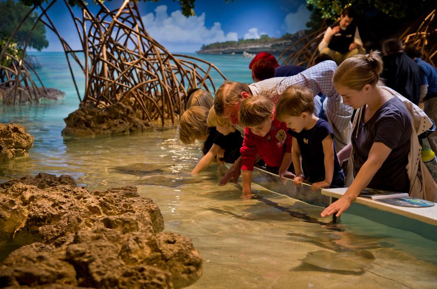 Touch, see and learn at the New England Aquarium. (Photo: neaq.org/S. Cheng)