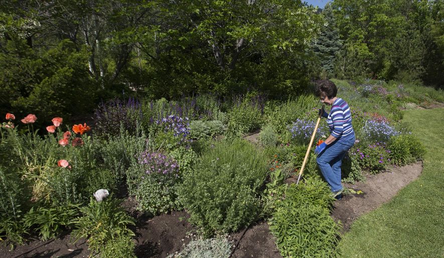 Ogden Botanical Gardens Volunteer Fine Tunes The Beauty