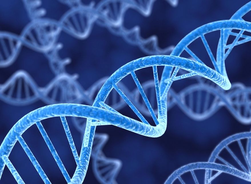 A federal biosafety and ethics panel approved a new gene-editing technique on June 21, 2016. The process will be used on cancer patients. (National Institute of Standards and Technology)