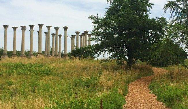 One of the most impressive collections in the National Arboretum is neither plant nor animal but mineral — 22 Corinthian pillars that originally formed part of the east portico of the U.S. Capitol Building. (Emily Kim/The Washington Times) **FILE**