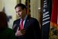 senate_2016_rubio.jpeg