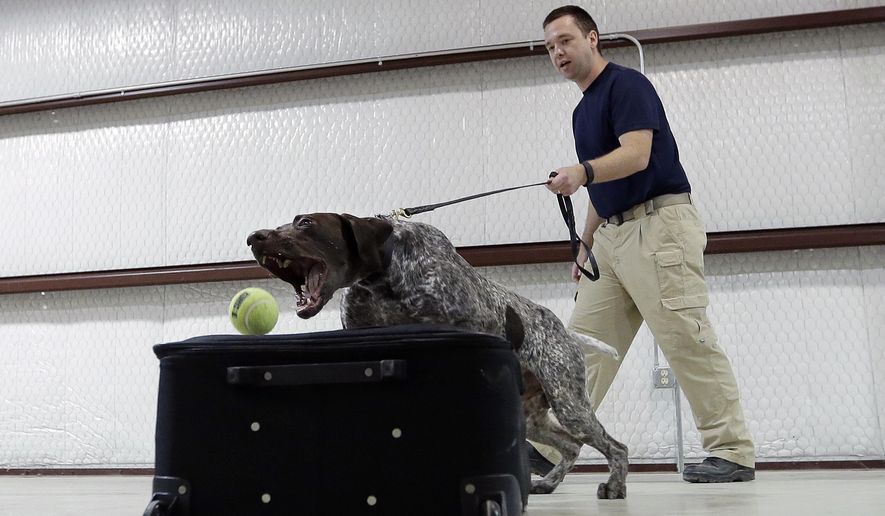 TSA’s passenger-sniffing dogs are waste of money, audit finds