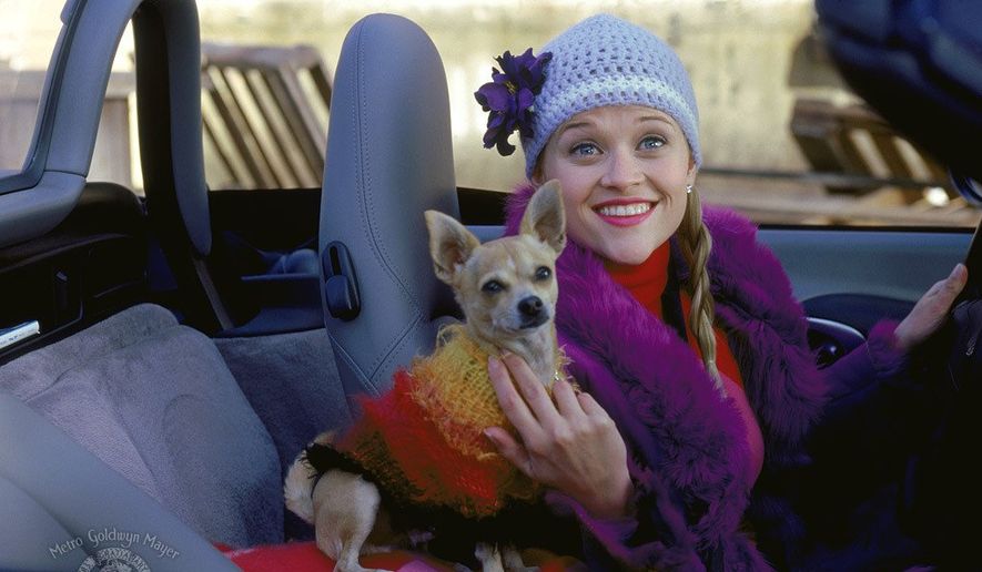 Actress Reese Witherspoon and her pet pooch in the movie "Legally Blonde."