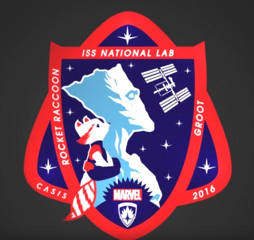 Marvel characters Groot and Rocket Raccoon will appear on a new patch for the Advancement of Science in Space (CASIS). (YouTube, CASIS)