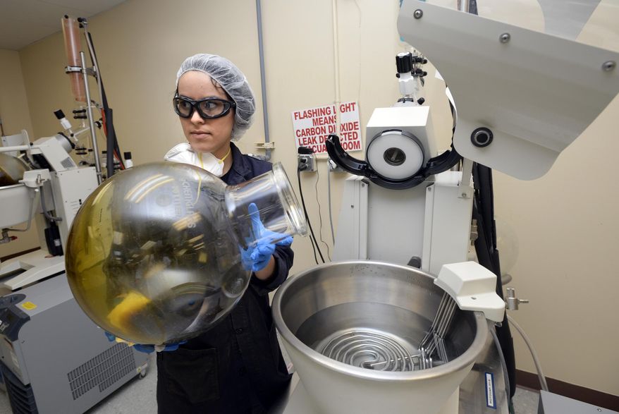 ADVANCE FOR USE SATURDAY, JULY 23 - In this July 6, 2016 photo, Vanessa Cantu removes hemp oil from a hot water bath that evaporates and removes the isopropyl alcohol used to extract CBD, THC, phytochemicals and terpenes from the hemp plant at the CWHemp facilities in Boulder, Colo. Between 600 and 1,000 units of CW's product ship from the premises each month, extracted from a strain of the plant called Charlotte's Web, made famous by the 2013 Sanjay Gupta-hosted CNN documentary "Weed." (Paul Aiken/Daily Camera via AP)