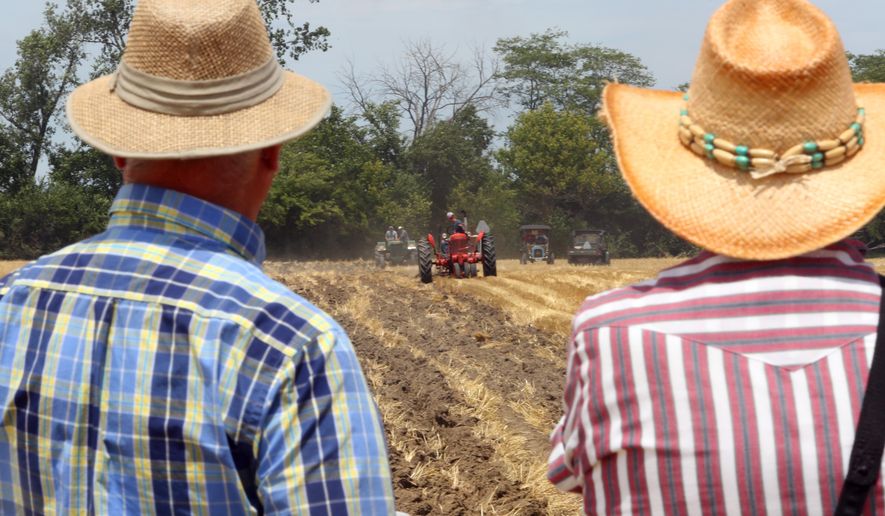 In a July 17, 2016 photo, Denney Kerns, left, and Harold Dull, both of Van Wert County,Ohio, watch as men try to plow by pulling a plowshare during the 56th annual reunion of the Five Point Steam Threshers in Perrysburg Township, Ohio. (Jetta Fraser/The Blade via AP)