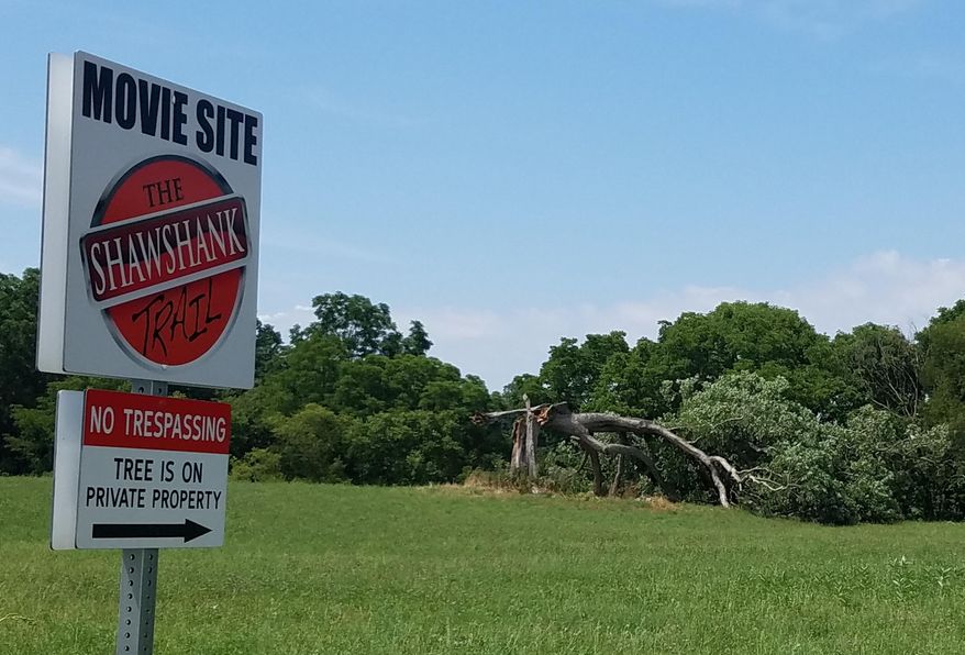 This Friday, July 22, 2016, photo provided by Jodie Snavely shows a fallen oak tree made popular by its role in the movie “The Shawshank Redemption,” in Ohio. High winds last week apparently downed the tree, which is featured in one of the final scenes of the 1994 film. (Jodie Snavely via AP)