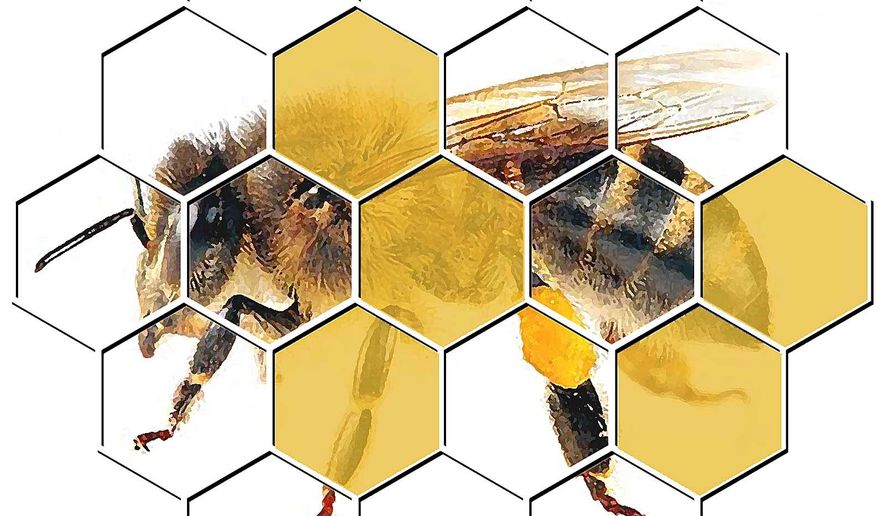 Illustration on the health and abundance of bees by Alexander Hunter/The Washington Times