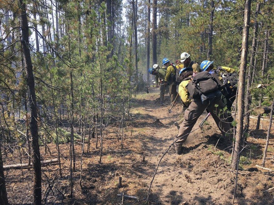 In this Thursday, Aug. 18, 2016 photo, provided by the National Forest Service, firefighters work to build a containment line around a wildfire burning on the western edge of Yellowstone National Park in Montana. Firefighters have checked the growth of a wildfire burning on the west side of Yellowstone National Park. It has burned nearly 200 acres. Officials say they have contained about 20 percent of the fire and expect to make more progress over the next couple of days. (Derek Wittenberg/National Forest Service via AP)