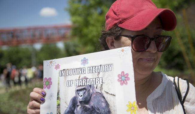 In this May 30, 2016 file photo, Alesia Buttrey, of Cincinnati, holds a sign with a picture of the gorilla Harambe during a vigil in his honor outside the Cincinnati Zoo &amp;amp; Botanical Garden, in Cincinnati. (AP Photo/John Minchillo, File)