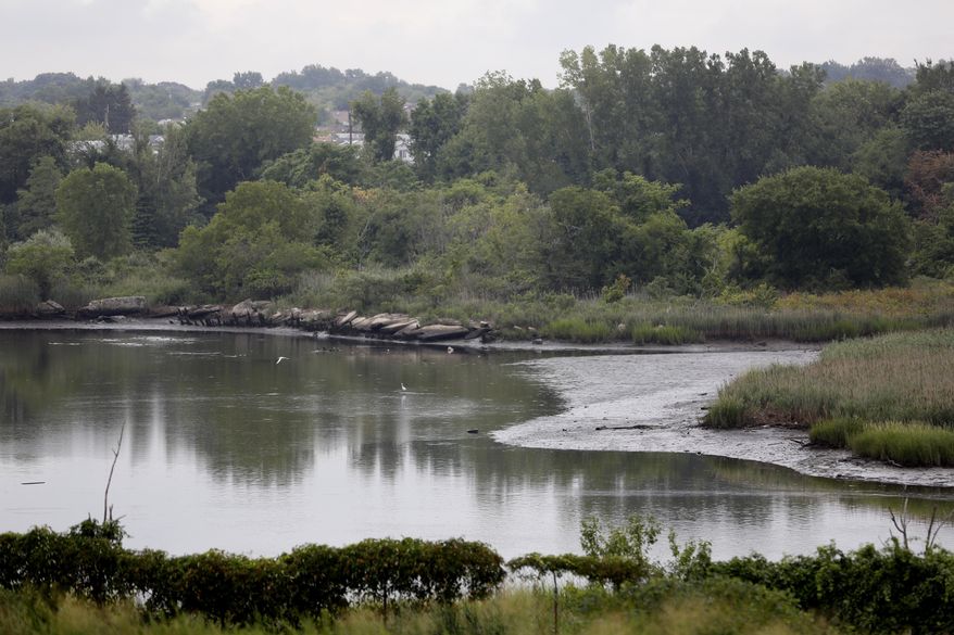 In this picture taken Thursday, Aug. 18, 2016, a section of the Freshkills Park is seen in the borough of Staten Island, New York. Diverse wildlife habitats, acres of grasslands, creeks for kayaking and meadows for hiking and biking. This vibrant landscape was once Fresh Kills, the world's largest landfill now being transformed into New York City's largest park in more than 100 years. (AP Photo/Seth Wenig)