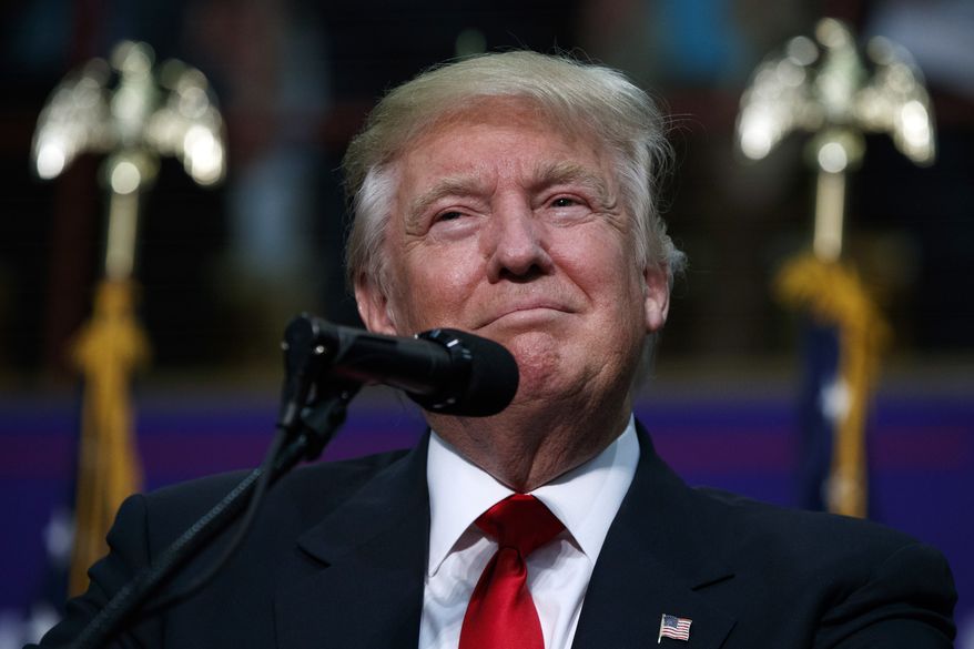 Republican presidential candidate Donald Trump speaks during a rally, Monday, Sept. 12, 2016, in Asheville, N.C. (AP Photo/Evan Vucci)