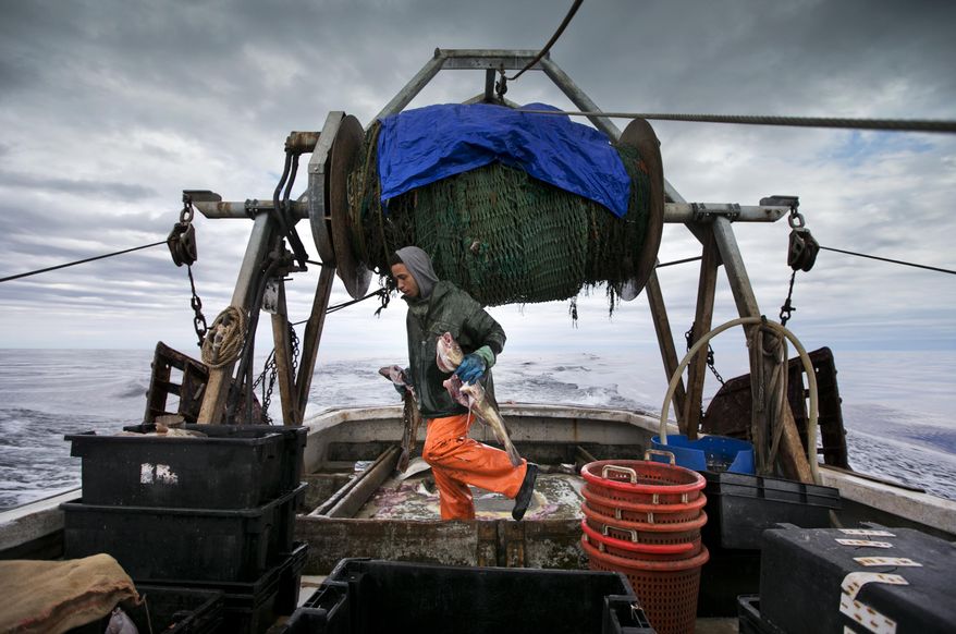 FILE - In this April 23, 2016 file photo, Elijah Voge-Meyers carries cod caught in the nets of a trawler off the coast of New Hampshire. The United States and Canada have brokered a deal to share what's left of the dwindling North American cod fishing business in the Atlantic next year. The two fisheries overlap in the eastern reaches of Georges Bank, an important fishing area located off of New England. (AP Photo/Robert F. Bukaty, file)