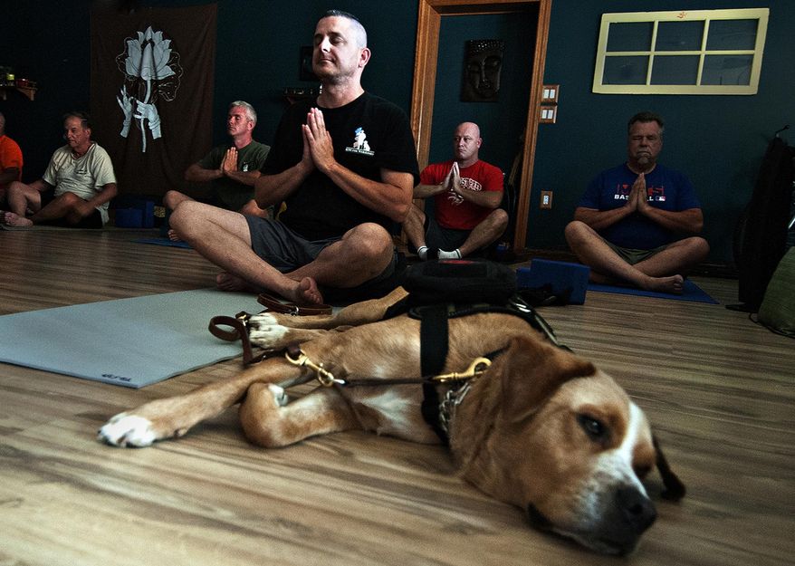 In a Tuesday, Sept. 13, 2016 photo, Todd Oslen and his service dog Hager take a yoga class at Open Center Yoga in Bristol, Pa. Olsen just completed training with the organization, K9 for Warriors, which connects veterans with PTSD with service dogs. (Kim Weimer/Bucks County Courier Times via AP)