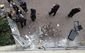 Charlotte Police Fatal Shooting.JPEG-86ccb.jpg