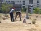 correction_historic_nevada_cemetery.jpeg