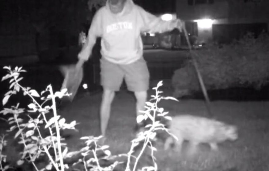 Dr. Norman Muir, the former vice president of academic affairs for Medaille College in New York, is caught on camera stealing Donald Trump yard signs. (WIVB-4 New York screenshot)