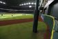 exchange_astros_tals_hill__baseball.jpeg