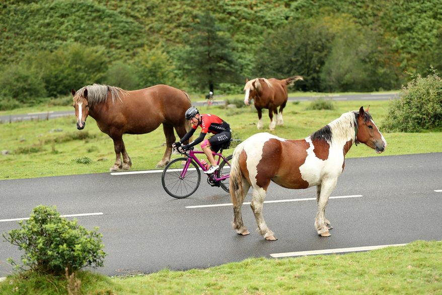 In this Aug. 20, 2016 photo provided by OC Sports, a cyclist makes his way between horses during the first day of the 2016 Haute Route Pyrenees timed cycling event in France. Some 400 cyclists participated in the event, which covered 500 miles (800 km) in seven stages through the French Pyrenees from Anglet to Toulouse with more than 60,000 feet (20,000 m) of climbing. (Haute Route/Yoann Obrenovitch/OC Sports via AP)