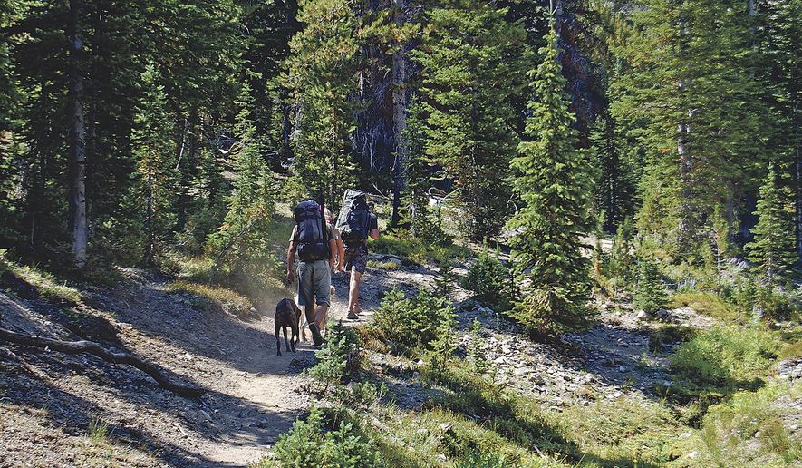 In this Aug. 21, 2016 photo, people hike the Castle Divide Trail in the Chamberlain Basin, near Stanley, Idaho. Chamberlain Basin boasts some of the most striking views in the White Cloud Range and it’s a hike that’s doable for most people of reasonable fitness. (Luke Ramseth/The Post Register via AP)