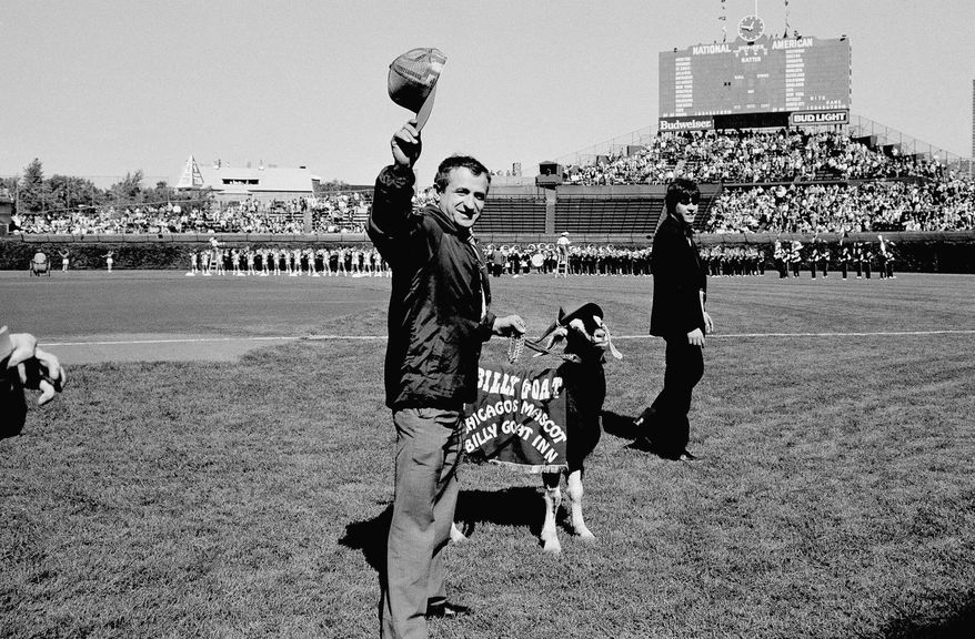 FILE - In this Oct. 2, 1984 file photo, Sam Sianis, owner of the Billy Goat Tavern in Chicago, acknowledges the crowd along with his goat prior to a National League playoff game between the San Diego Padres and the Cubs in Chicago. Cubs fans Erik Williams and Brad Knaub are hoping to exorcise the Curse of the Billy Goat this postseason by, well, slaughtering one of their own goats. They own a company that produces sausage and other food from locally sourced meats. Now, perhaps this entire endeavor is another crackpot scheme by Cubs fans to help deliver a World Series title. But research has proven that superstitions actually do help athletes perform better. (AP Photo)