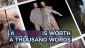 humane society ad.jpg