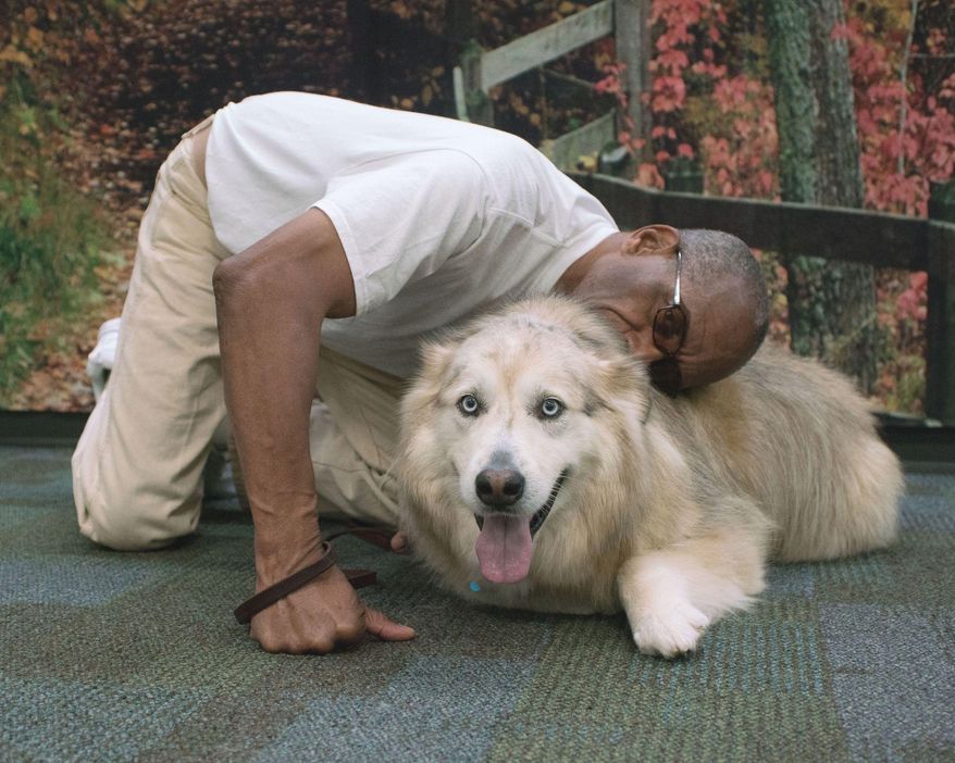 In this Sept. 27, 2016 photo, Clallam Bay Corrections Center inmate Charles Graves greets Sky, a Pyrenees/husky-mix, during a reunion in Clallam Bay, Wash. The dog was part of a program at the prison sponsored by the Sequim, Wash.-based Welfare for Animals Guild to rehabilitate problem dogs. (Brian Harmon/The Peninsula Daily News via AP)