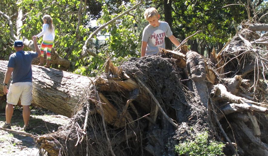 Ryder Delaney, far right, age 9, climbs on the uprooted trunk of large tree toppled in Forsyth Park as his father, Nigel Delaney, hold the hand of the boy's younger sister, Yasmin, in Savannah, Ga., on Monday, Oct. 10, 2016. Hurricane Matthew bushwhacked Savannah when it swiped the Georgia coast over the weekend, causing extensive damage to the city's signature tree canopy. (AP Photo/Russ Bynum)