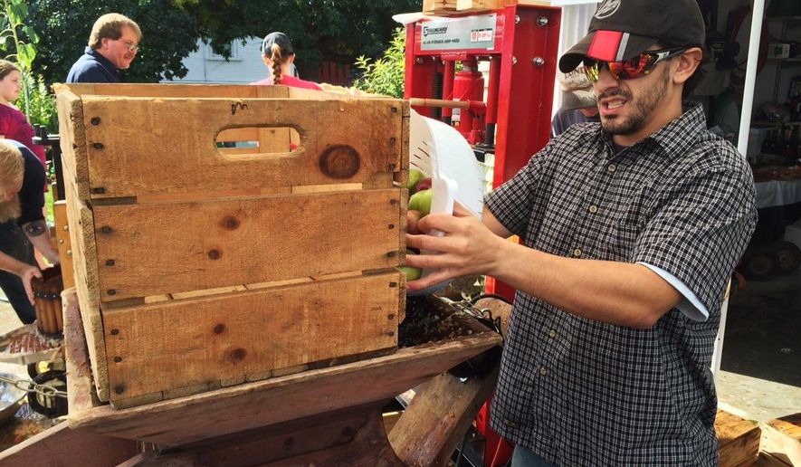 ADVANCE FOR RELEASE MONDAY, OCTOBER 17, 2016, AT 12:01 A.M. CDT. AND THEREAFTER - In this Sunday, Oct. 9, 2016, photo, Joseph Woolley tosses a bucket of apples into a century-old grinder in Pipe, Wis. He and members of the Central Wisconsin Vintners and Brewers Association gathered to crush and press apples into cider. (Nate Beck/The Oshkosh Northwestern via AP)