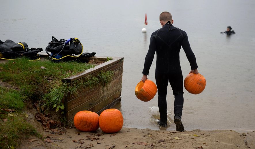 In this Sunday, Oct. 16, 2016 photo, a participant in The Dive Shop's 21st annual underwater pumpkin carving prepares to get into the water at Otter Lake, Mich. (Callaghan O'Hare/The Flint Journal-MLive.com via AP)