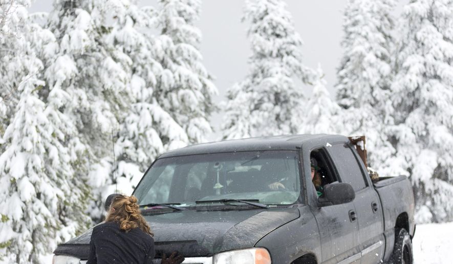 Mikey Harris helps push Brandon Haltom's stuck truck after an attempt to park closer to the dead pine trees on Shadow Mountain on Thursday, Oct. 6, 2016 near Kelly, Wyo. The truck was stuck for about an hour before they were able to free it. (Rugile Kaladyte /Jackson Hole News & Guide via AP)