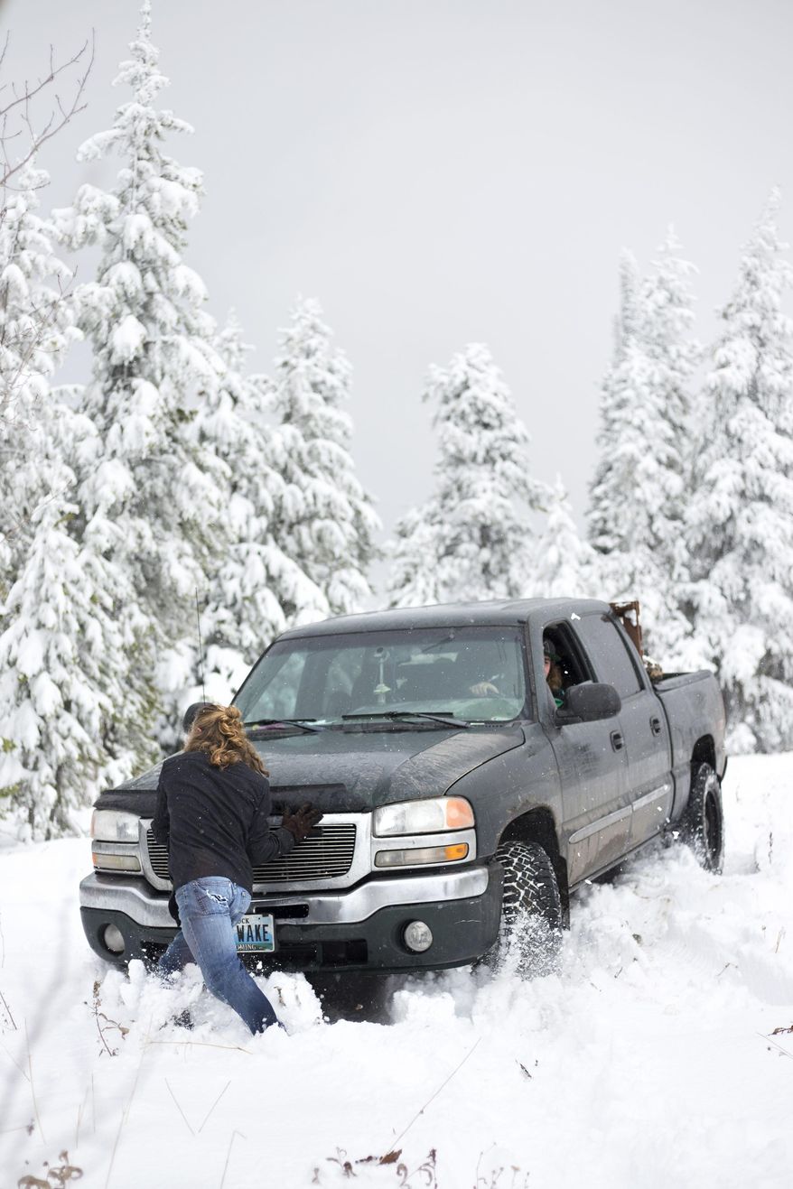 Mikey Harris helps push Brandon Haltom's stuck truck after an attempt to park closer to the dead pine trees on Shadow Mountain on Thursday, Oct. 6, 2016 near Kelly, Wyo. The truck was stuck for about an hour before they were able to free it. (Rugile Kaladyte /Jackson Hole News & Guide via AP)