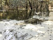 coal_ash_hurricane_matthew.jpeg