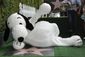 snoopy_honored_with_a_star_on_the_hollywood_walk_of_fame.jpeg