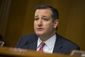 cruz_supreme_court.jpeg