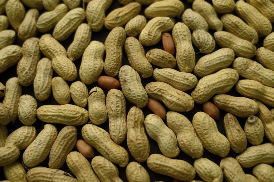 This Feb. 20, 2015, file photo, photo shows an arrangement of peanuts in New York. A study published Oct. 26, 2016, in the Journal of Allergy and Clinical Immunology says nearly half of those treated with a skin patch for peanut allergy sufferers were able to consume at least 10 times more peanut protein than they were able to consume prior to treatment. (AP Photo/Patrick Sison, File)