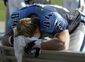 titans_drought_football.jpeg
