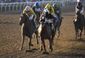 breeders_cup_filly_mare_sprint_horse_racing.jpeg