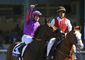 breeders_cup_turf_sprint_horse_racing.jpeg