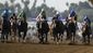 correction_breeders_cup_juvenile_horse_racing.jpeg