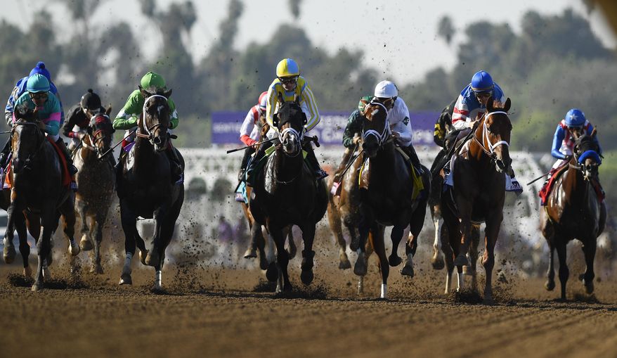 CORRECTS JOCKEY'S LAST NAME TO LEPAROUX, INSTEAD OF VELASQUEZ - Julien Leparoux, center, rides Classic Empire to victory in the Breeders' Cup Juvenile horse race at Santa Anita, Saturday, Nov. 5, 2016, in Arcadia, Calif. (AP Photo/Mark J. Terrill)