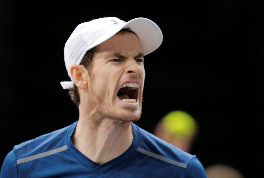 Andy Murray is expected to be ranked No. 1 in the world after he won the Paris Masters on Sunday, his eighth title this year. (Associated Press)