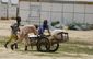 nigeria_boko_haram_aid_theft.jpeg