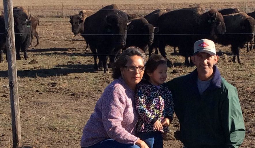 Beverly and Ernie Fischer, shown with granddaughter Jalia, have lost more than a dozen bison as a result of the Dakota Access pipeline protests. (Valerie Richardson/The Washington Times)