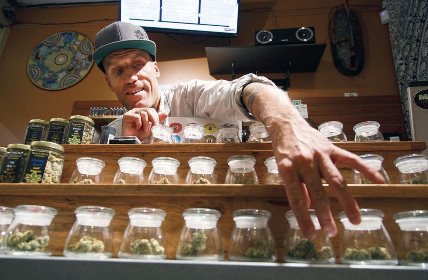 Shane Cavanaugh owns Amazon Organics, a pot dispensary in Eugene, Oregon. White House press secretary Sean Spicer said Thursday that the Justice Department will be looking further into the use of recreational marijuana and enforce the laws on the books. (Associated Press/File)
