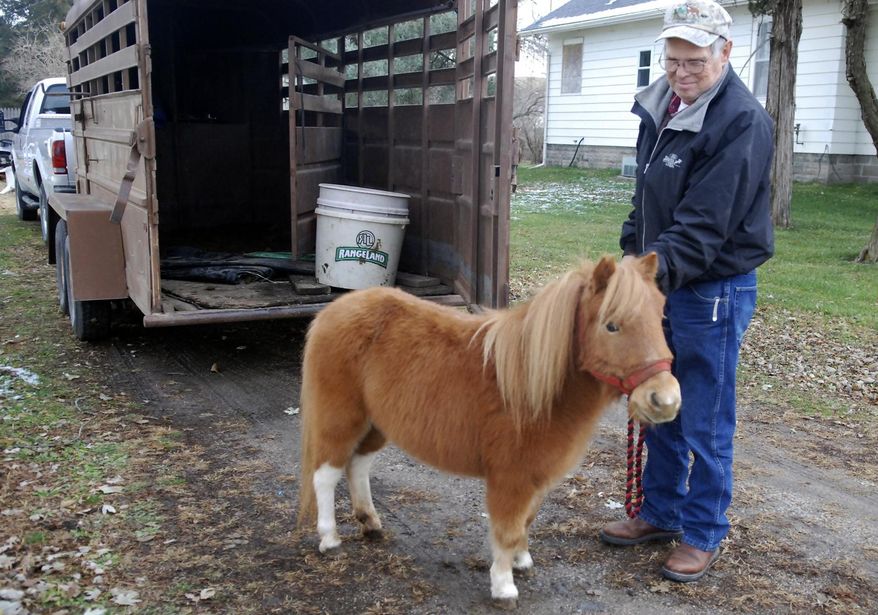 ADVANCE FOR WEEKEND EDITIONS, DEC. 10-11 - In this recent photo, Cecil Hocking of Hooper, Neb., stands near Barbie, a miniature registered horse. Children enjoyed petting Barbie during Hooper's recent Main Street Extravaganza Christmas celebration. The horse is 5 years old. (Tammy Real-McKeighan/The Tribune via AP)
