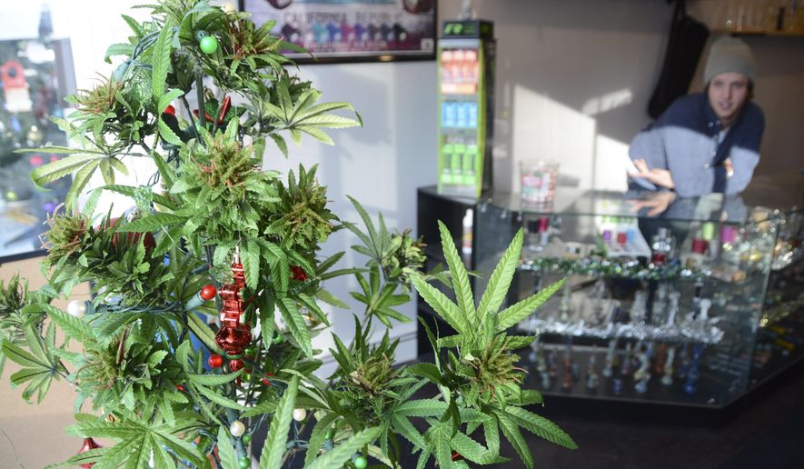 A faux marijuana Christmas tree sits in the window of Shire Glass, a fine tobacco shop on Main Street in Great Barrington, Mass, Wednesday, Dec. 14, 2016. Dan Meandro, an employee, talks about how his dialogue with customers changes on December 15 with the new laws that allow Massachusetts residents over the age of 21 to possess, use and grow home-grow marijuana. (Gillian Jones/The Berkshire Eagle via AP)
