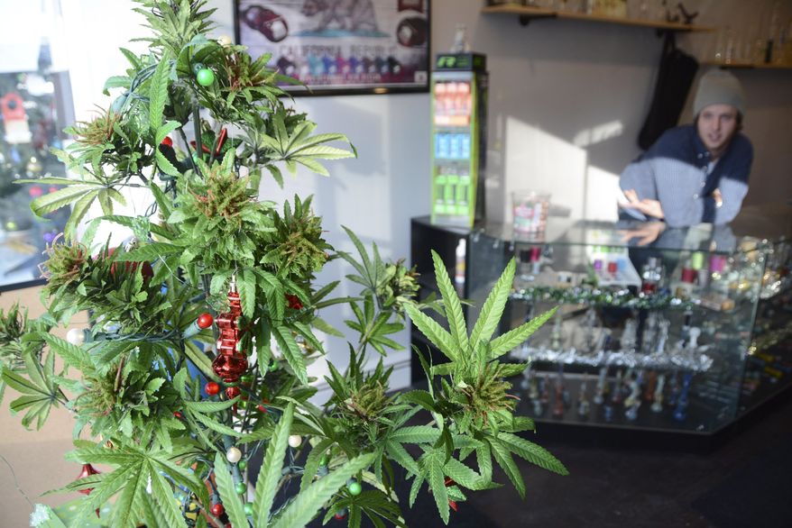 A faux marijuana Christmas tree sits in the window of Shire Glass, a fine tobacco shop on Main Street in Great Barrington, Mass, Wednesday, Dec. 14, 2016. Dan Meandro, an employee, talks about how his dialogue with customers changes on December 15 with the new laws that allow Massachusetts residents over the age of 21 to possess, use and grow home-grow marijuana. (Gillian Jones/The Berkshire Eagle via AP)