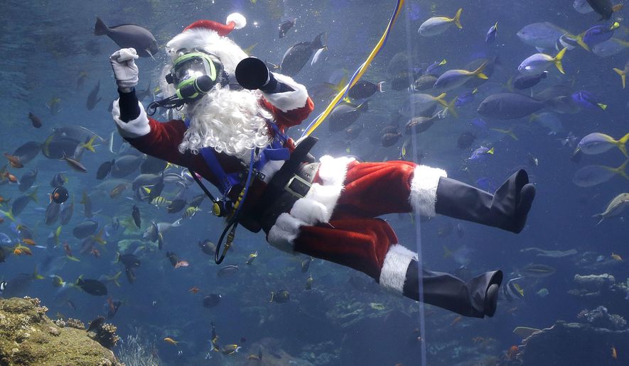 Volunteer diver George Bell, dressed as Santa Claus, swims in the Philippine coral reef tank before giving a presentation as part of the 'Tis the Season for Science holiday exhibit at the California Academy of Sciences in San Francisco, Thursday, Dec. 15, 2016. (AP Photo/Jeff Chiu)